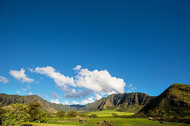 Foto hermosos paisajes en la isla de oahu, hawaii