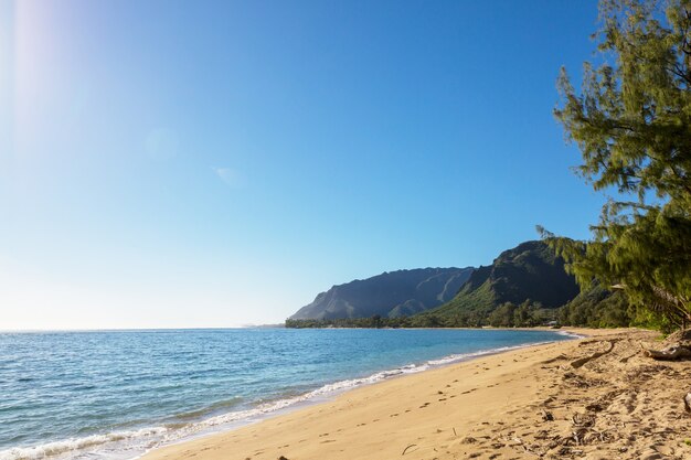 Hermosos paisajes en la isla de Oahu, Hawaii