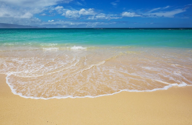 Hermosos paisajes en la isla de Oahu, Hawaii