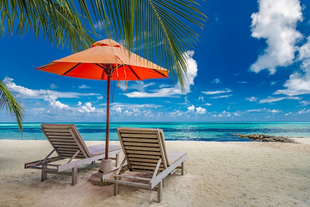 Hermosos paisajes de islas tropicales dos camas de sol sillones paraguas bajo palmeras arena blanca vista al mar con horizonte cielo azul idílico calma y relajación inspirador hotel de playa