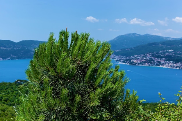 Hermosos paisajes marinos en Montenegro