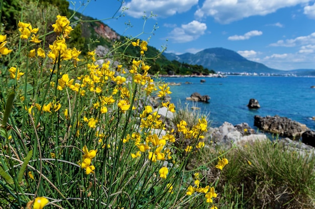 Hermosos paisajes marinos en Montenegro