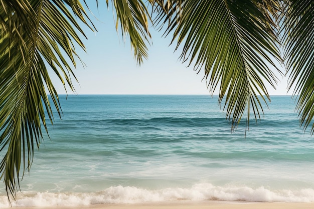 Hermosos paisajes naturales al aire libre de mar y playa con palma de coco