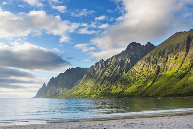 Hermosos paisajes naturales en la isla de Senja, Noruega. Temporada de verano