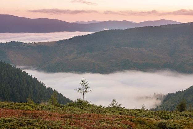 Hermosos paisajes naturales en las montañas de los Cárpatos