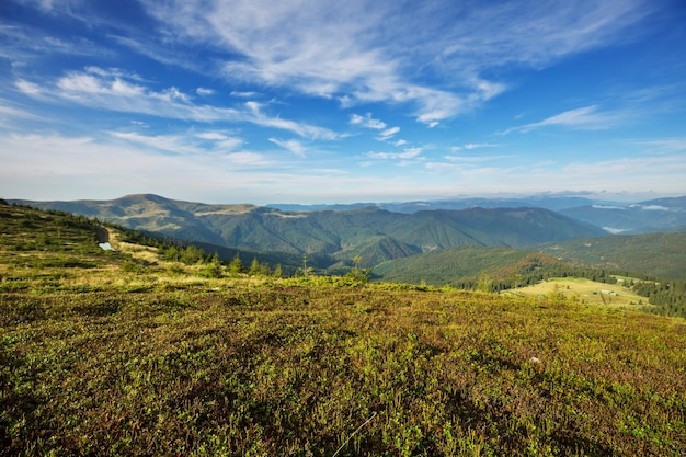 Hermosos paisajes naturales en las montañas de los Cárpatos