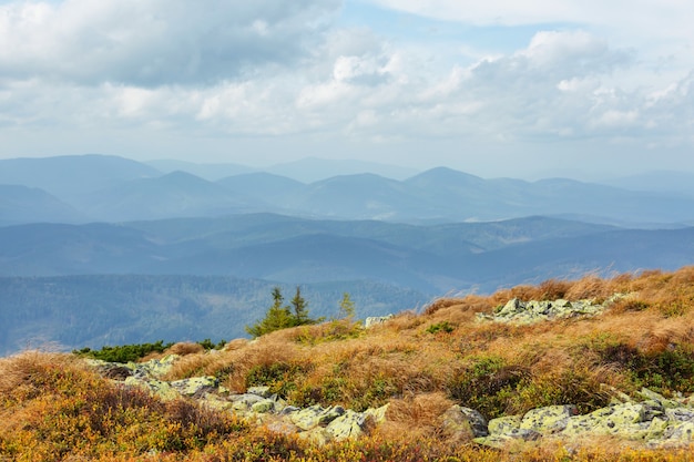 Hermosos paisajes naturales en las montañas de los Cárpatos