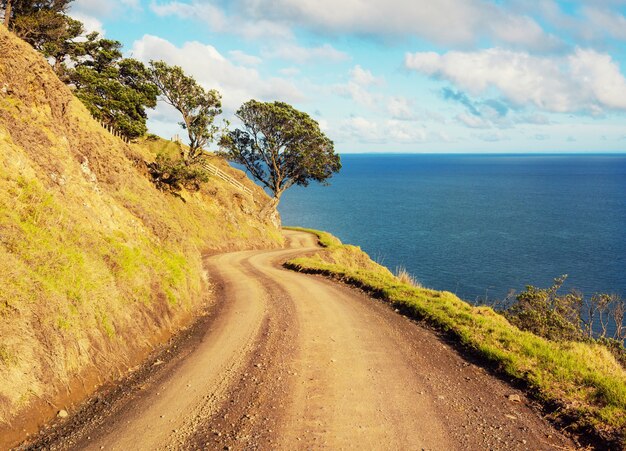 Foto hermosos paisajes en ocean beach, nueva zelanda. fondo inspirador de viajes y naturaleza