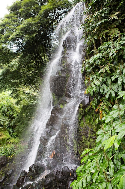 Hermosos paisajes paisajísticos en Azores Portugal naturaleza tropical en la isla de Sao Miguel Azores