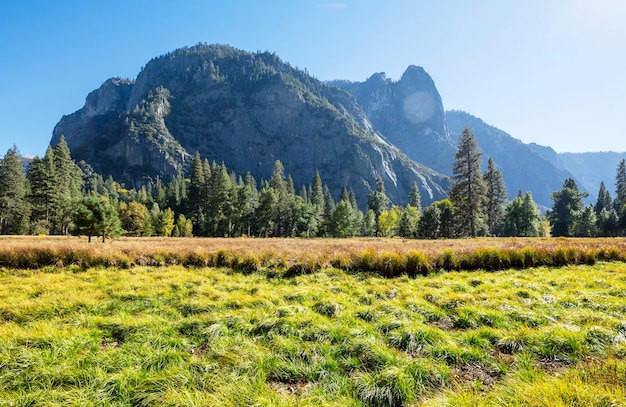 Hermosos paisajes del Parque Nacional Yosemite, California