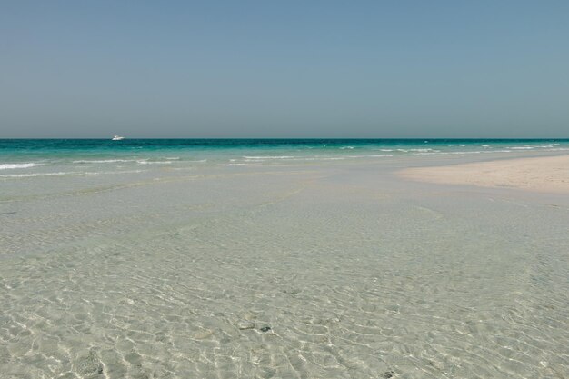 Hermosos paisajes de playas de arena blanca con aguas claras de color turquesa en la isla de Saadiyat, Emiratos Árabes Unidos