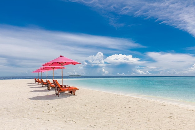 Hermosos paisajes de playas tropicales camas de sol sillones sombrillas bajo palmeras arena blanca vista al mar