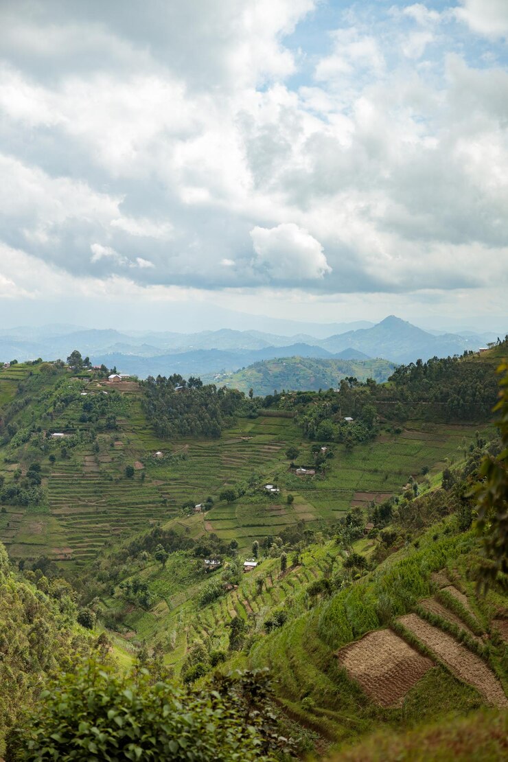 Foto hermosos paisajes en el suroeste de uganda en el parque nacional de ruanda copy space travel