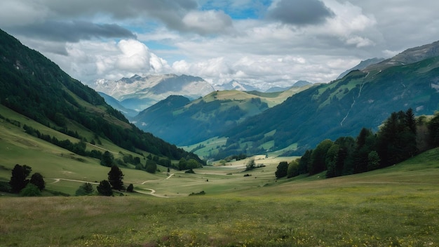 Hermosos paisajes de un valle verde cerca de las montañas alpinas en Austria bajo el cielo nublado