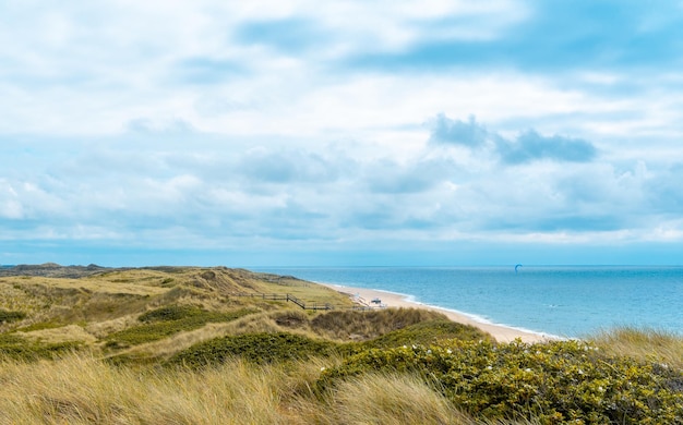 Hermosos paisajes de verano en el Mar del Norte con las dunas de hierba de marram de la isla de Sylt y el cielo azul