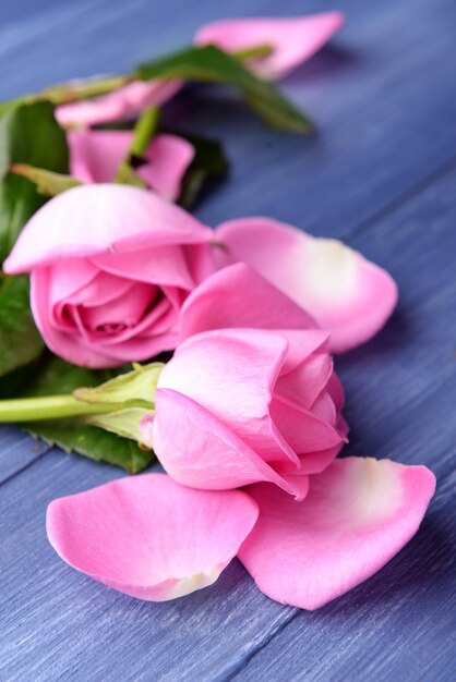 Hermosos pétalos de rosa de rosas en primer plano de la mesa de madera de color