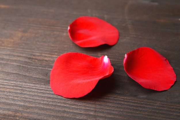 Hermosos pétalos de rosas rojas sobre fondo de madera