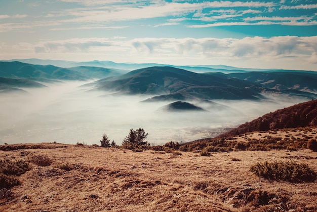 Hermosos picos de montaña en la niebla de la mañana