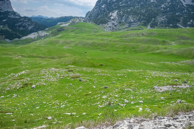 Hermosos prados verdes extendidos entre las pintorescas montañas