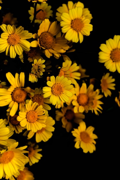 Hermosos ramos de flores frescas de primavera