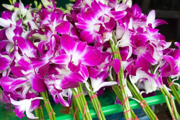 Hermosos ramos de flores de orquídeas moradas y blancas apiladas en exhibición en el mercado de flores en bangkok, tailandia