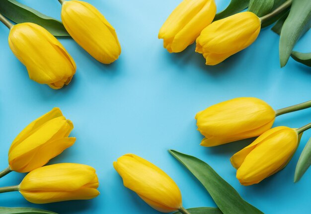 Hermosos tulipanes amarillos sobre un fondo azul.
