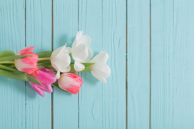 Hermosos tulipanes blancos y rosados en la vista superior de fondo de madera azul