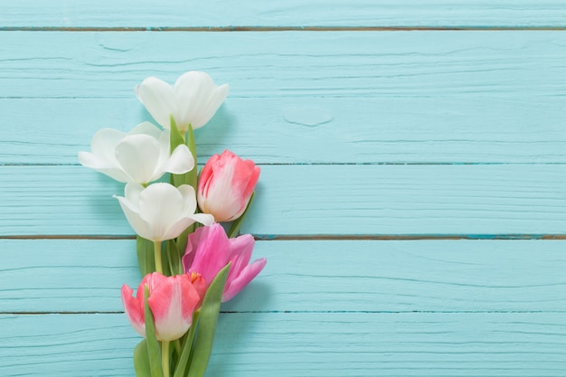 Hermosos tulipanes blancos y rosas sobre superficie de madera azul
