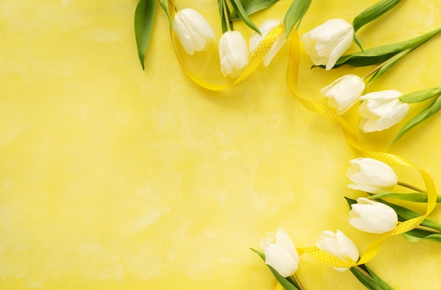 Hermosos tulipanes blancos sobre un fondo amarillo. Vista superior del fondo de flores de primavera. Banner con espacio de copia