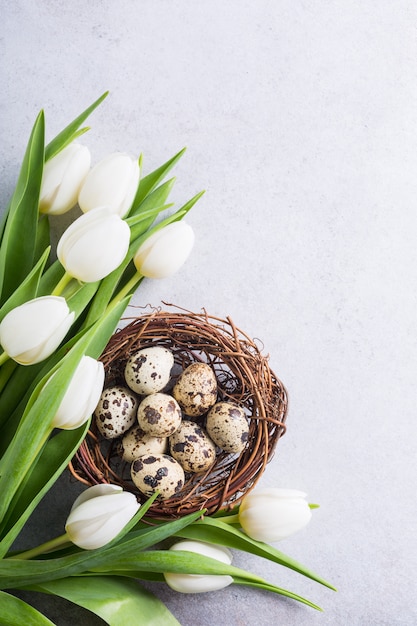 Hermosos tulipanes blancos