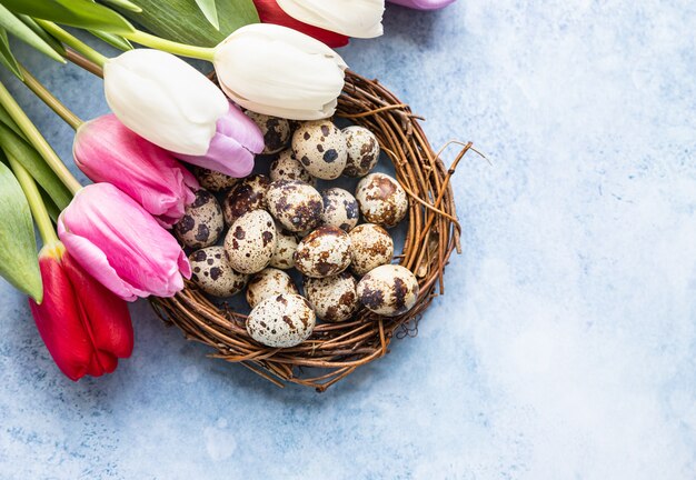 Hermosos tulipanes de colores con huevos de codorniz en corona