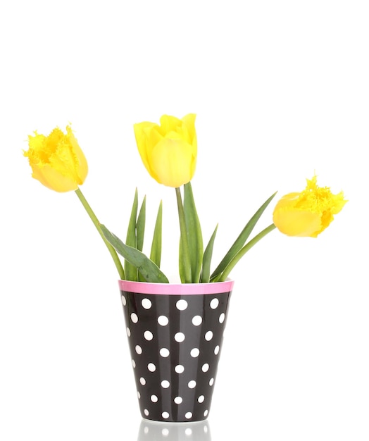 Hermosos tulipanes en florero aislado en blanco