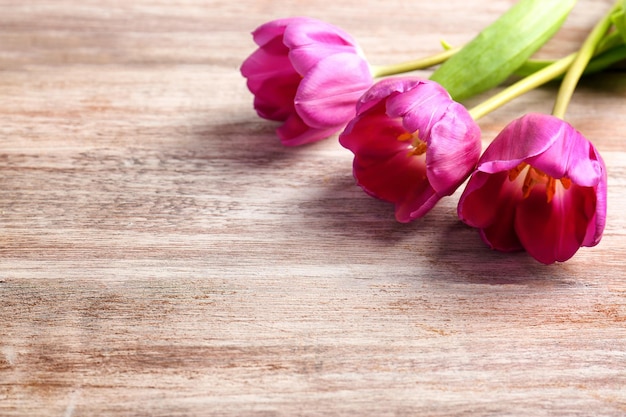 Hermosos tulipanes lilas sobre fondo de madera