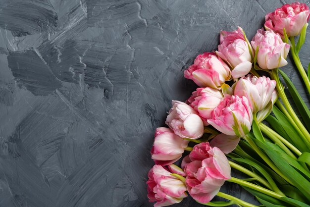 Hermosos tulipanes de primavera rosa sobre fondo gris espacio plano para texto