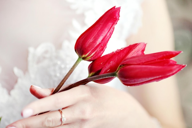 Hermosos tulipanes rojos de boda en manos de novias