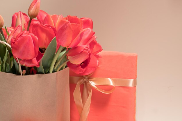 Hermosos tulipanes rojos en una bolsa de regalo y cajas de regalo Foto de felicitación feliz cumpleaños 8 de marzo Día de la Madre