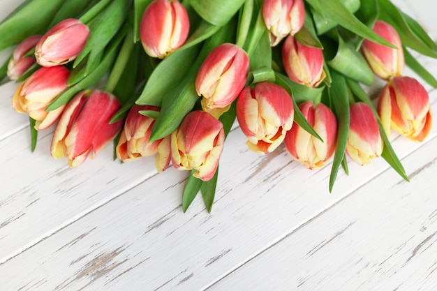 Hermosos tulipanes rojos sobre un fondo blanco de madera