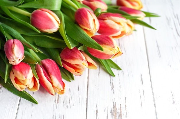 Hermosos tulipanes rojos sobre un fondo blanco de madera