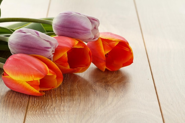 Hermosos tulipanes rojos sobre tablas de madera Vista superior