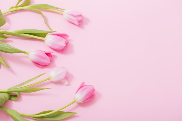 Hermosos tulipanes rosados en mesa rosa