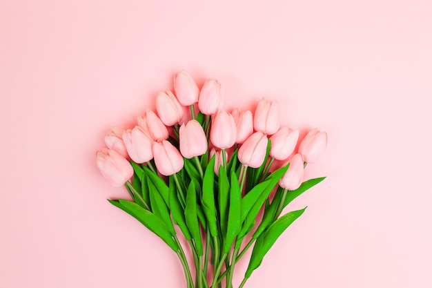 Hermosos tulipanes rosas sobre fondo rosa claro