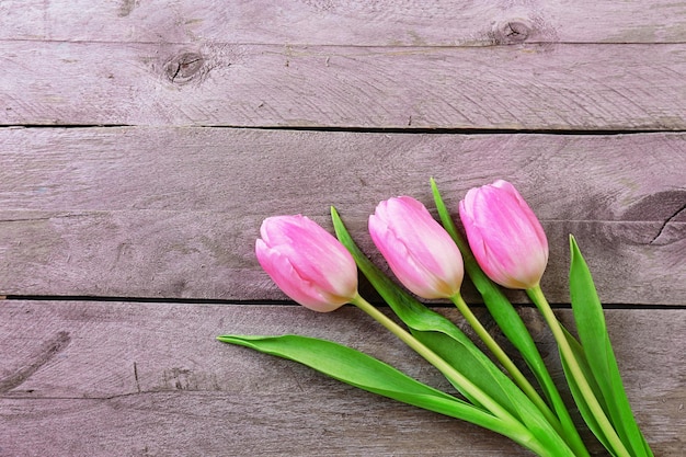 Hermosos tulipanes rosas sobre fondo de tablones de madera