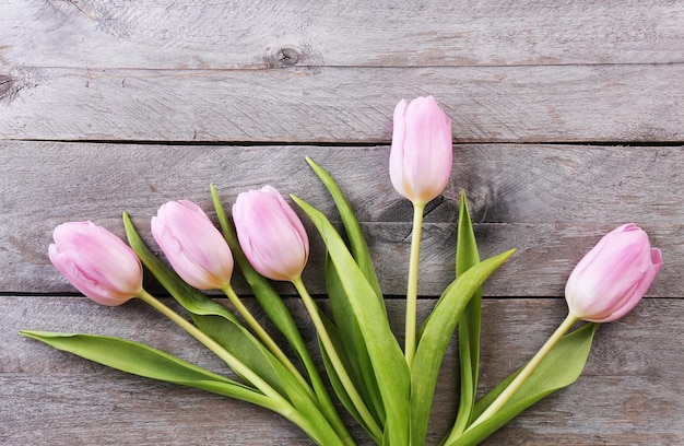 Hermosos tulipanes rosas sobre fondo de tablones de madera