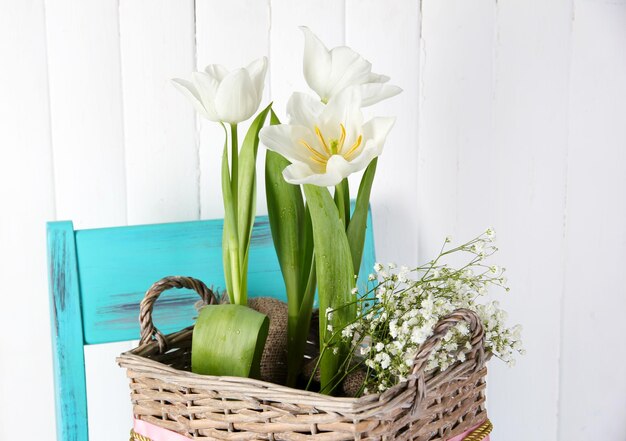 Hermosos tulipanes en silla azul sobre fondo de madera de color