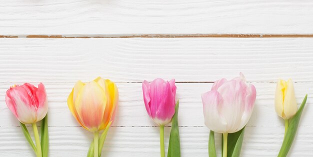 Hermosos tulipanes sobre fondo blanco de madera