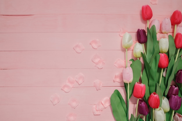 Hermosos tulipanes sobre fondo rosa.