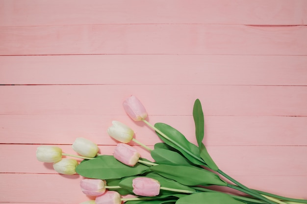 Hermosos tulipanes sobre fondo rosa.
