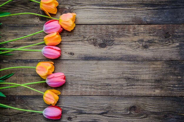 Hermosos tulipanes en superficie de madera