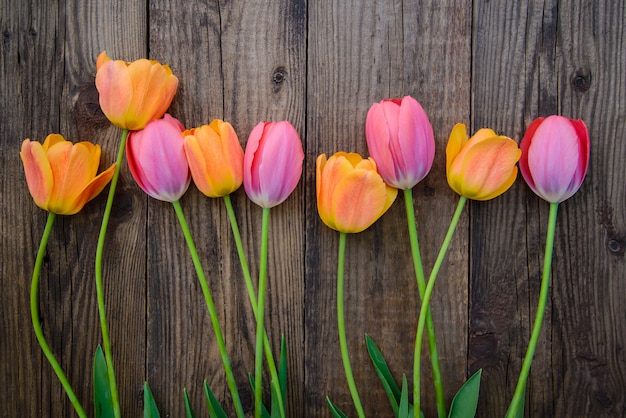 Hermosos tulipanes en superficie de madera