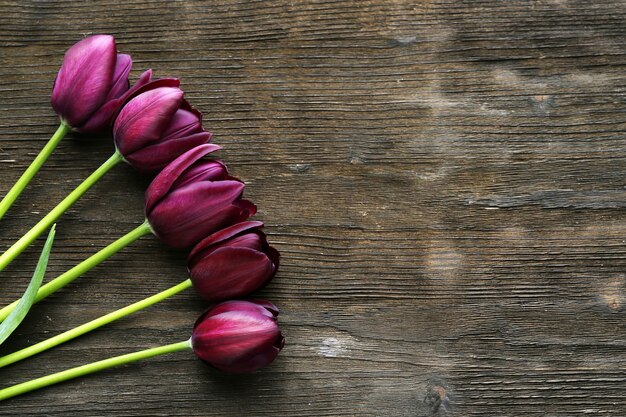 Hermosos tulipanes violetas sobre fondo de madera